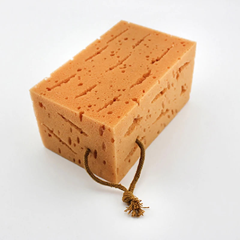 Extra Large Honeycomb Coral Cleaning Sponges