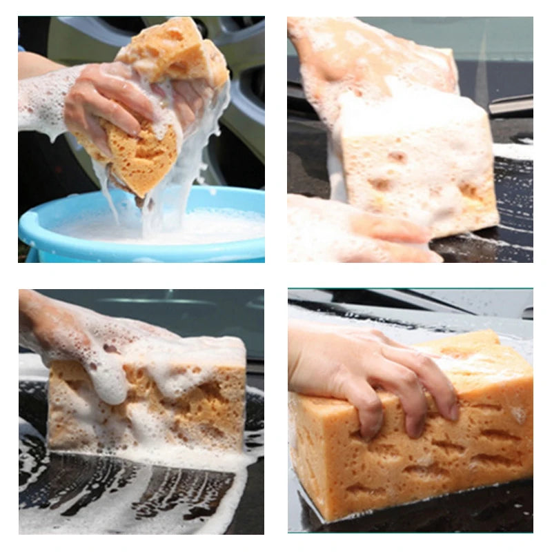 Extra Large Honeycomb Coral Cleaning Sponges