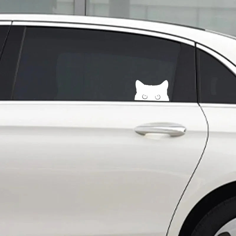 Poor Cat Is Stealing With Big Eyes Watch Car Styling Cover