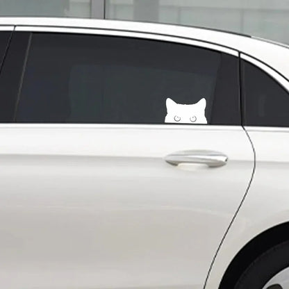 Poor Cat Is Stealing With Big Eyes Watch Car Styling Cover