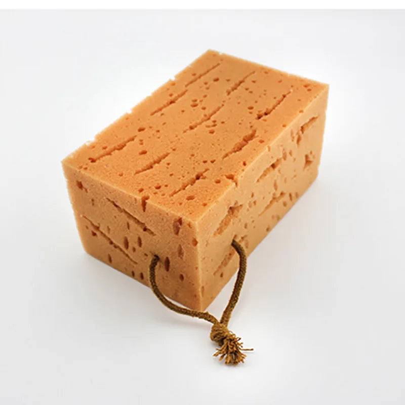 Extra Large Honeycomb Coral Cleaning Sponges