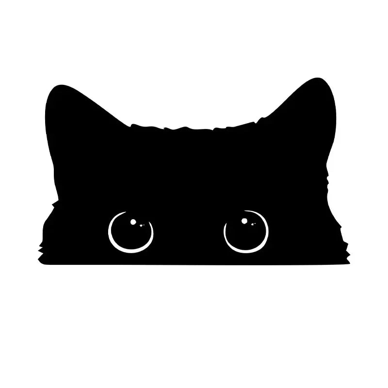 Poor Cat Is Stealing With Big Eyes Watch Car Styling Cover