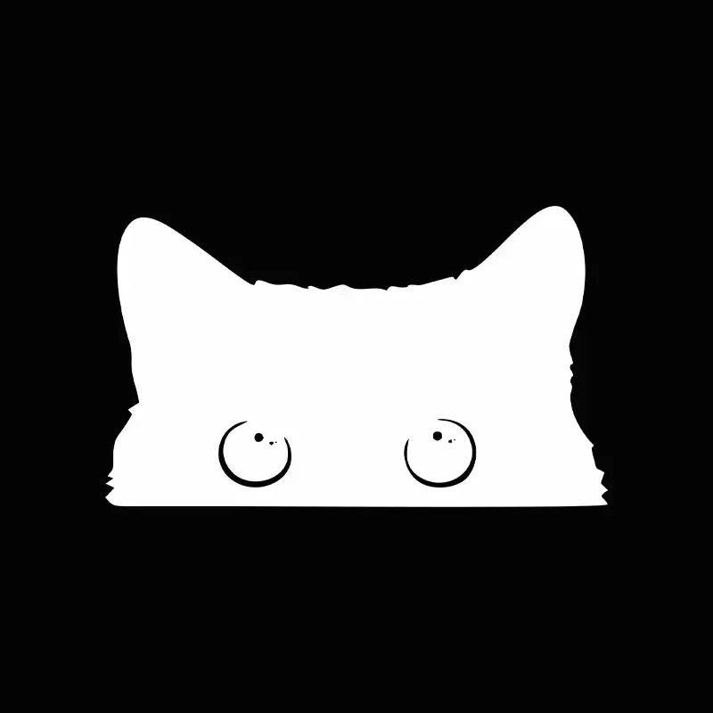 Poor Cat Is Stealing With Big Eyes Watch Car Styling Cover