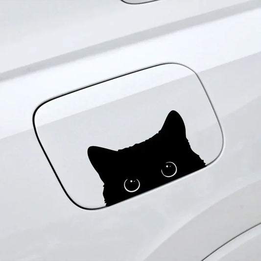 Poor Cat Is Stealing With Big Eyes Watch Car Styling Cover