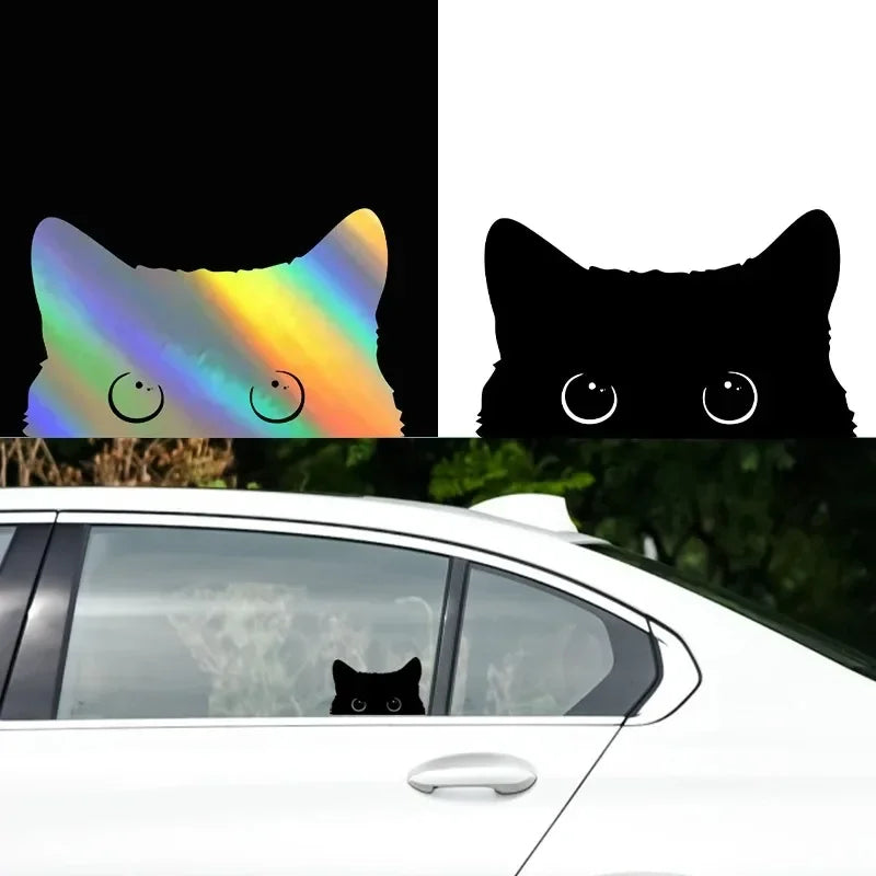 Poor Cat Is Stealing With Big Eyes Watch Car Styling Cover